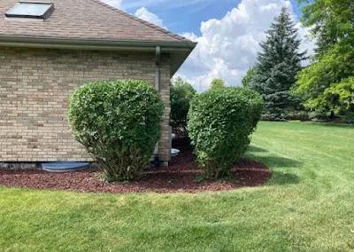 Landscaping Services