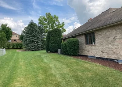 Landscaping Services