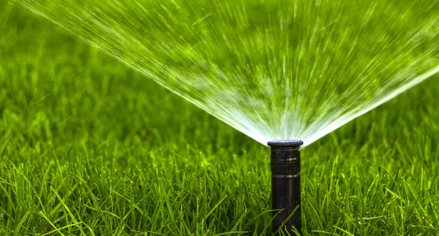How Irrigation Services Improve Your Landscape Health in Frankfort, IL How Irrigation Services Improve Your Landscape Health in Frankfort, IL