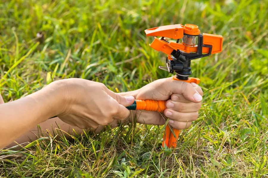 How Irrigation Services Improve Your Landscape Health in Frankfort, IL How Irrigation Services Improve Your Landscape Health in Frankfort, IL