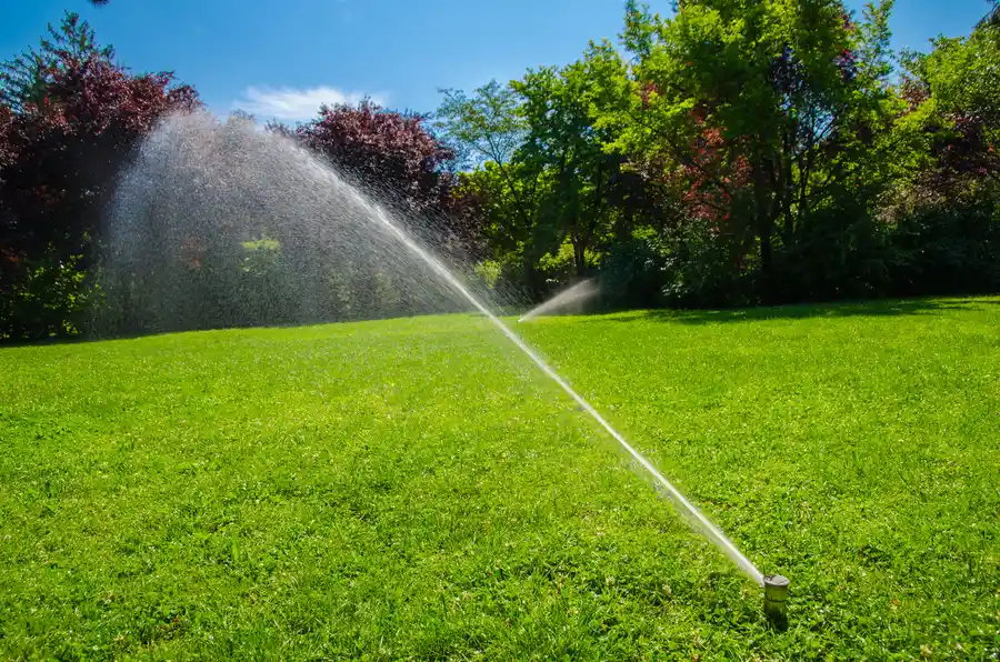 How To Choose The Right Irrigation System For Your Yard in Frankfort, IL