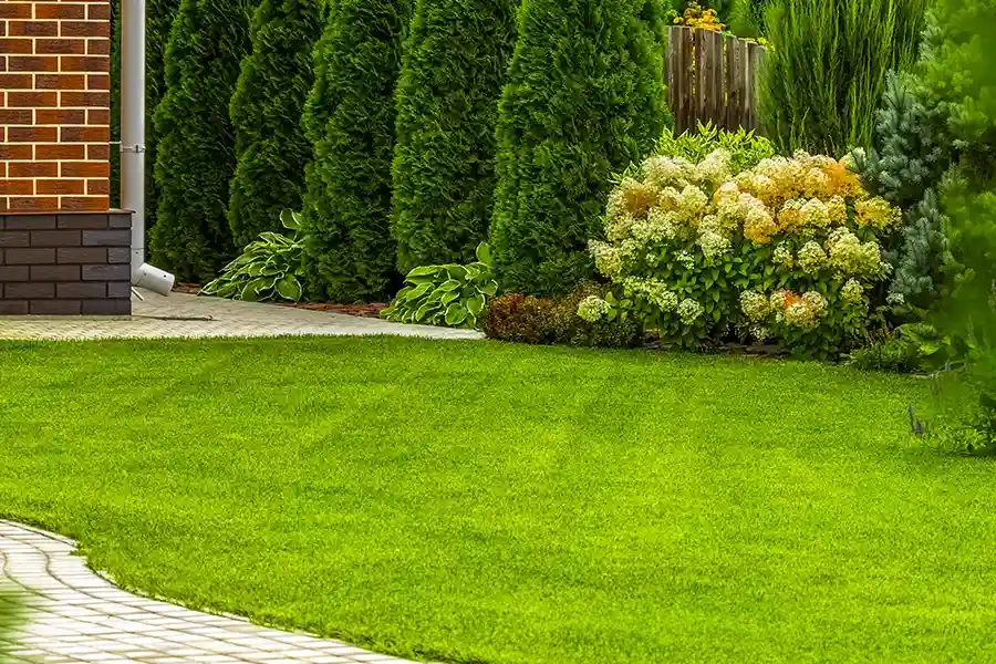 Reputable Lawn Care in Frankfort, IL Reputable Lawn Care in Frankfort, IL