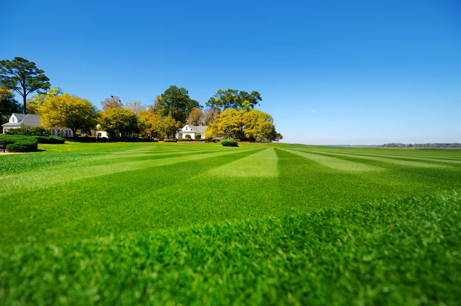 Seasonal Lawn Care Tips For A Healthy, Vibrant Yard in Frankfort, IL Seasonal Lawn Care Tips For A Healthy, Vibrant Yard in Frankfort, IL