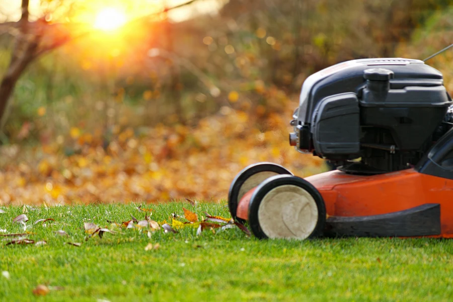 Top Lawn Care Trends Shaping The Landscaping Industry in Frankfort, IL