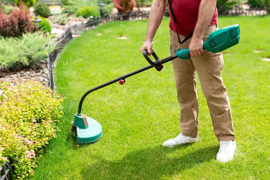 Top-rated Lawn Care in Frankfort, IL Top-rated Lawn Care in Frankfort, IL