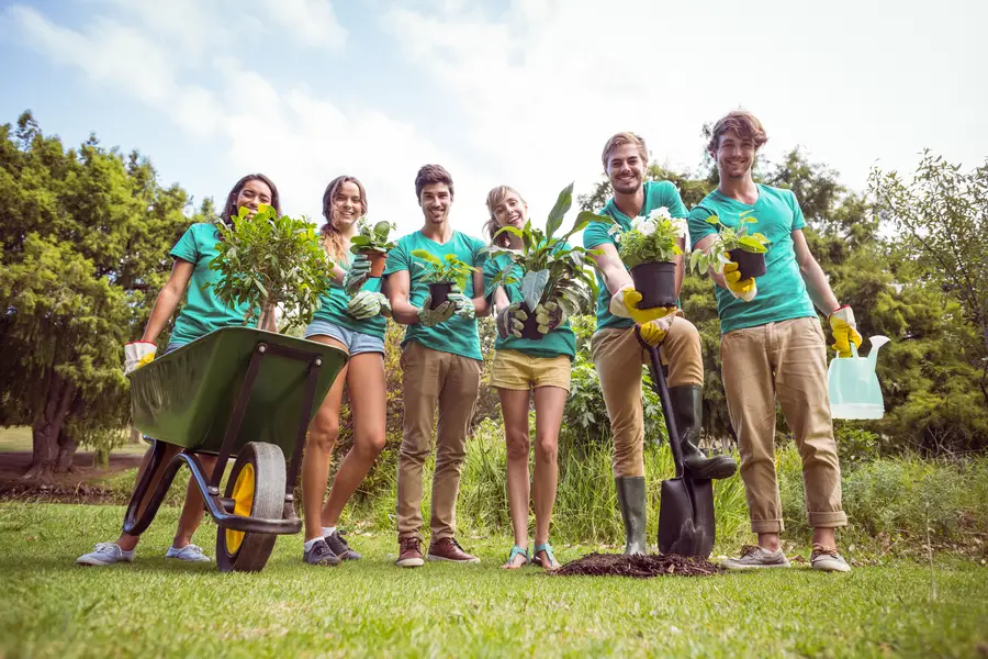 What To Expect During A Tree Planting Service Appointment in Frankfort, IL What To Expect During A Tree Planting Service Appointment in Frankfort, IL